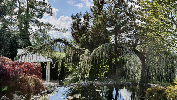 Fachperson für naturnahe Pflege
